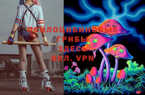 соль ск Семёнов