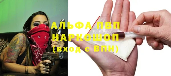 СК Семилуки