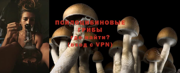 соль ск Абаза