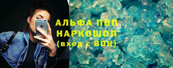 СК Семилуки