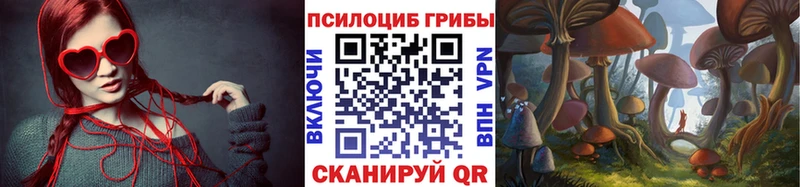 хочу наркоту  ссылка на мегу сайт  Псилоцибиновые грибы мицелий  Карталы 