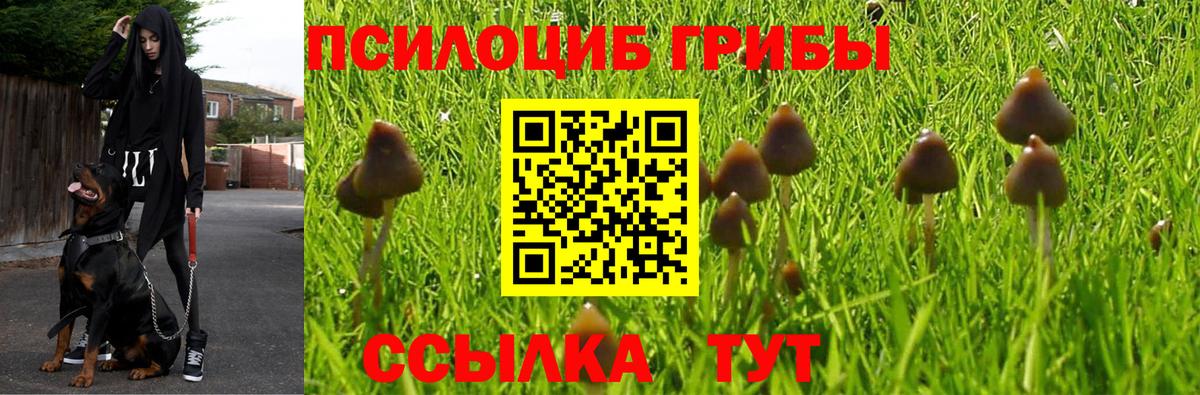 Карталы  Галлюциногенные грибы Cubensis  Вход с VPN  где найти наркотики  Галлюциногенные грибы Psilocybe 